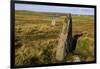 The Giant's Stones, Standing Stones, Scotland-Eleanor Scriven-Framed Photographic Print