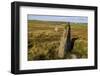 The Giant's Stones, Standing Stones, Scotland-Eleanor Scriven-Framed Photographic Print