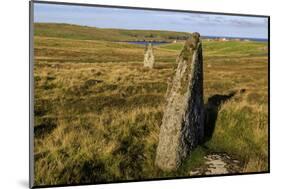 The Giant's Stones, Standing Stones, Scotland-Eleanor Scriven-Mounted Photographic Print