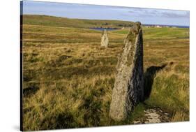 The Giant's Stones, Standing Stones, Scotland-Eleanor Scriven-Stretched Canvas