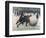 The Giant Snowball-Jean Mayne-Framed Giclee Print