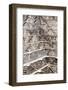 The Giant Step Well of Abhaneri in Rajasthan State in India-OSTILL-Framed Photographic Print