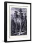 The Giant Trees in the Mariposa Forest United States of America-null-Framed Giclee Print