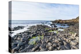 The Giants Causeway, County Antrim, Ulster, Northern Ireland, United Kingdom-Michael Runkel-Stretched Canvas