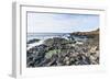 The Giants Causeway, County Antrim, Ulster, Northern Ireland, United Kingdom-Michael Runkel-Framed Photographic Print