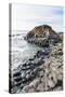 The Giants Causeway, County Antrim, Ulster, Northern Ireland, United Kingdom-Michael Runkel-Stretched Canvas