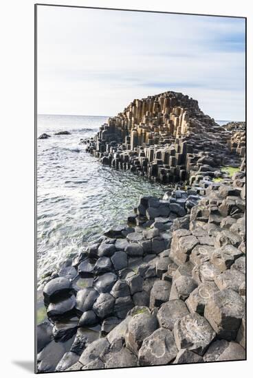 The Giants Causeway, County Antrim, Ulster, Northern Ireland, United Kingdom-Michael Runkel-Mounted Photographic Print