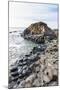 The Giants Causeway, County Antrim, Ulster, Northern Ireland, United Kingdom-Michael Runkel-Mounted Photographic Print