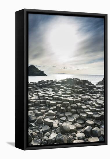 The Giants Causeway, County Antrim, Ulster, Northern Ireland, United Kingdom-Michael Runkel-Framed Stretched Canvas