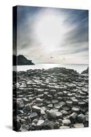 The Giants Causeway, County Antrim, Ulster, Northern Ireland, United Kingdom-Michael Runkel-Stretched Canvas