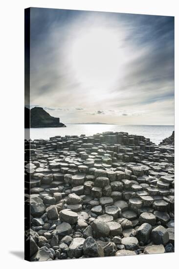 The Giants Causeway, County Antrim, Ulster, Northern Ireland, United Kingdom-Michael Runkel-Stretched Canvas