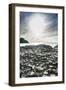 The Giants Causeway, County Antrim, Ulster, Northern Ireland, United Kingdom-Michael Runkel-Framed Photographic Print