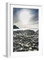 The Giants Causeway, County Antrim, Ulster, Northern Ireland, United Kingdom-Michael Runkel-Framed Photographic Print