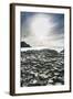 The Giants Causeway, County Antrim, Ulster, Northern Ireland, United Kingdom-Michael Runkel-Framed Photographic Print