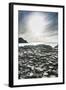 The Giants Causeway, County Antrim, Ulster, Northern Ireland, United Kingdom-Michael Runkel-Framed Photographic Print