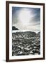 The Giants Causeway, County Antrim, Ulster, Northern Ireland, United Kingdom-Michael Runkel-Framed Photographic Print