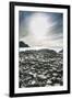 The Giants Causeway, County Antrim, Ulster, Northern Ireland, United Kingdom-Michael Runkel-Framed Photographic Print