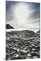 The Giants Causeway, County Antrim, Ulster, Northern Ireland, United Kingdom-Michael Runkel-Mounted Photographic Print