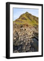 The Giants Causeway, County Antrim, Ulster, Northern Ireland, United Kingdom-Michael Runkel-Framed Premium Photographic Print