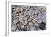 The Giants Causeway, County Antrim, Ulster, Northern Ireland, United Kingdom-Michael Runkel-Framed Photographic Print