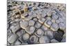 The Giants Causeway, County Antrim, Ulster, Northern Ireland, United Kingdom-Michael Runkel-Mounted Photographic Print