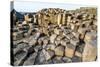 The Giants Causeway, County Antrim, Ulster, Northern Ireland, United Kingdom-Michael Runkel-Stretched Canvas