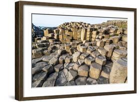 The Giants Causeway, County Antrim, Ulster, Northern Ireland, United Kingdom-Michael Runkel-Framed Photographic Print