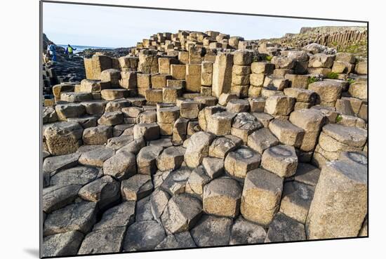 The Giants Causeway, County Antrim, Ulster, Northern Ireland, United Kingdom-Michael Runkel-Mounted Photographic Print