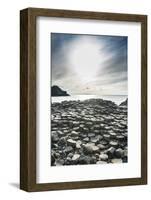 The Giants Causeway, County Antrim, Ulster, Northern Ireland, United Kingdom-Michael Runkel-Framed Photographic Print