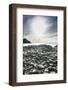 The Giants Causeway, County Antrim, Ulster, Northern Ireland, United Kingdom-Michael Runkel-Framed Photographic Print