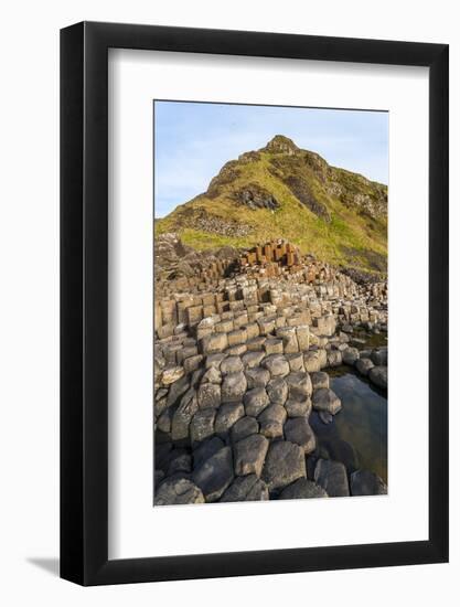 The Giants Causeway, County Antrim, Ulster, Northern Ireland, United Kingdom-Michael Runkel-Framed Photographic Print