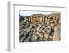 The Giants Causeway, County Antrim, Ulster, Northern Ireland, United Kingdom-Michael Runkel-Framed Photographic Print