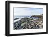 The Giants Causeway, County Antrim, Ulster, Northern Ireland, United Kingdom-Michael Runkel-Framed Photographic Print