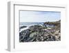 The Giants Causeway, County Antrim, Ulster, Northern Ireland, United Kingdom-Michael Runkel-Framed Photographic Print