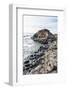 The Giants Causeway, County Antrim, Ulster, Northern Ireland, United Kingdom-Michael Runkel-Framed Photographic Print