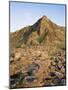 The Giants Causeway, Unesco World Heritage Site, Co. Antrim, Ulster, Northern Ireland-Roy Rainford-Mounted Photographic Print