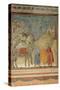 The Gift of the Mantle-Giotto di Bondone-Stretched Canvas