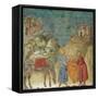 The Gift of the Mantle-Giotto di Bondone-Framed Stretched Canvas