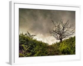 The Gift-Mark Gemmell-Framed Photographic Print