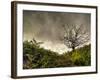 The Gift-Mark Gemmell-Framed Photographic Print