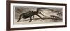 The Gigantic Mouse-Eating Spider at the Zoological Gardens-null-Framed Giclee Print