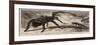 The Gigantic Mouse-Eating Spider at the Zoological Gardens-null-Framed Giclee Print