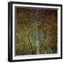 The Gilded Larch-Doug Chinnery-Framed Giclee Print