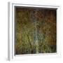 The Gilded Larch-Doug Chinnery-Framed Giclee Print