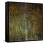 The Gilded Larch-Doug Chinnery-Framed Stretched Canvas