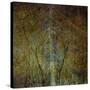 The Gilded Larch-Doug Chinnery-Stretched Canvas