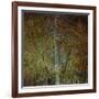 The Gilded Larch-Doug Chinnery-Framed Giclee Print