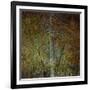 The Gilded Larch-Doug Chinnery-Framed Giclee Print