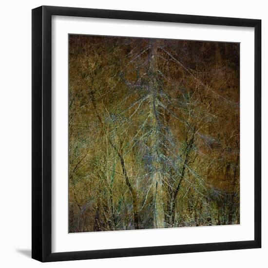 The Gilded Larch-Doug Chinnery-Framed Giclee Print