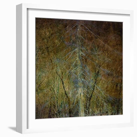 The Gilded Larch-Doug Chinnery-Framed Giclee Print